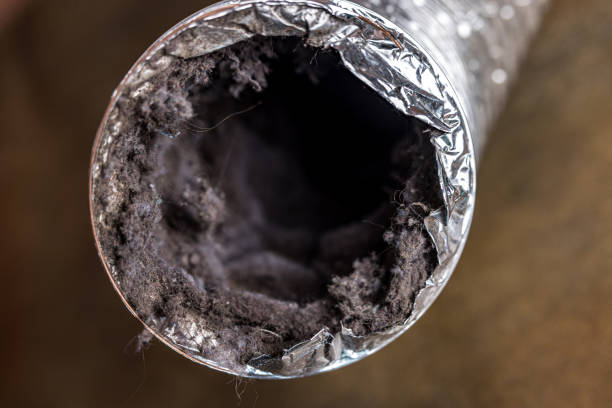Best Air Duct Cleaning Near Me  in Unionville, TN