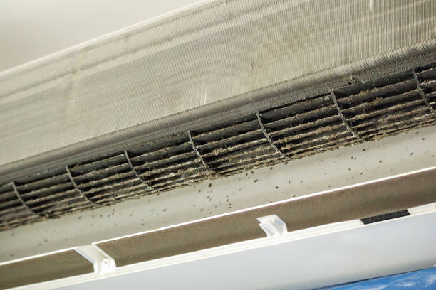 Best Duct Cleaning for Homes  in Unionville, TN